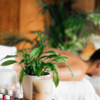 Massage Centre in kilpauk Body Massage Centre in kilpauk