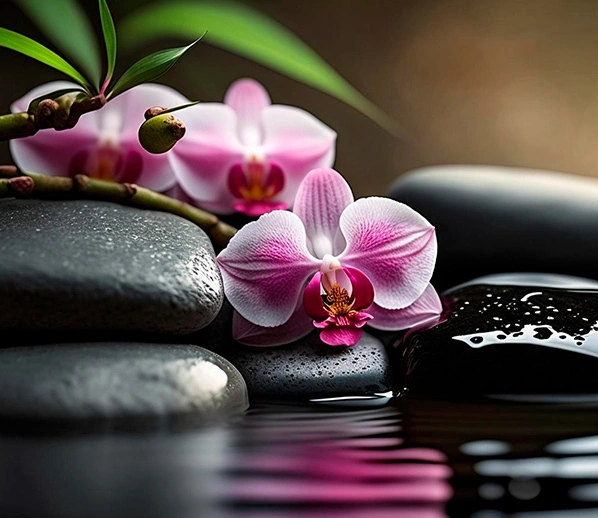 Massage Centre in kilpauk Body Massage Centre in kilpauk