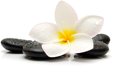 Body Massage Centre in kilpauk Massage Centre in kilpauk